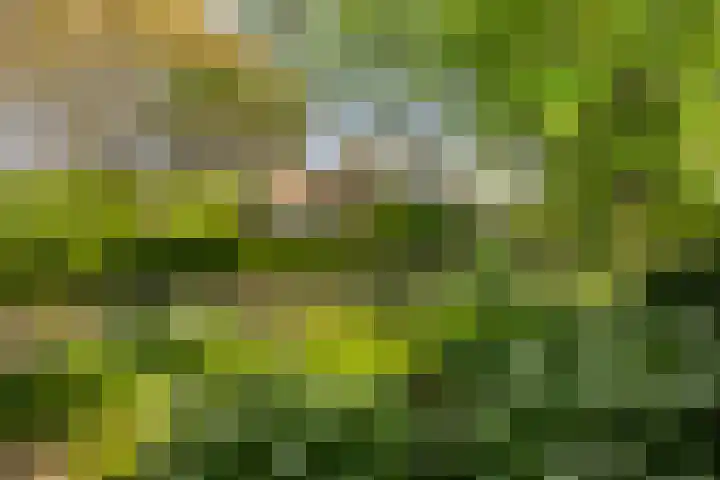 Oude Zutphenseweg 11 Hoog-Keppel thumbnail 115