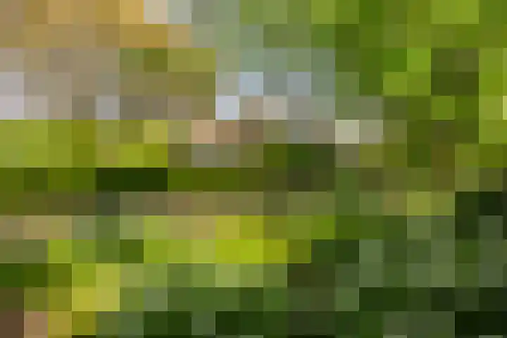 Oude Zutphenseweg 11 Hoog-Keppel thumbnail 116
