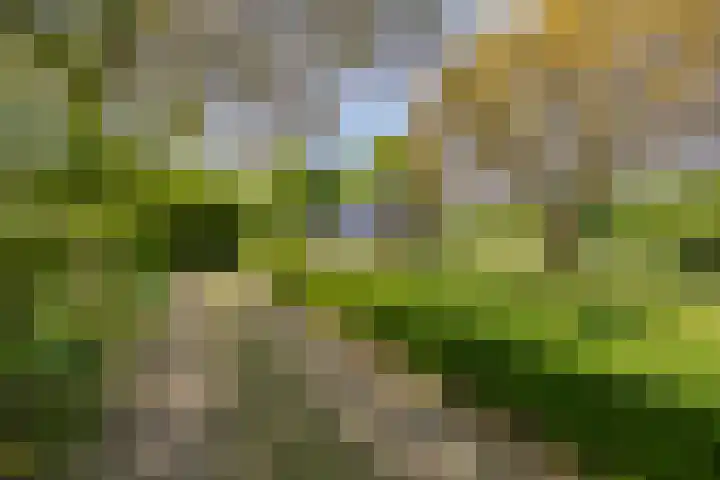 Oude Zutphenseweg 11 Hoog-Keppel thumbnail 117