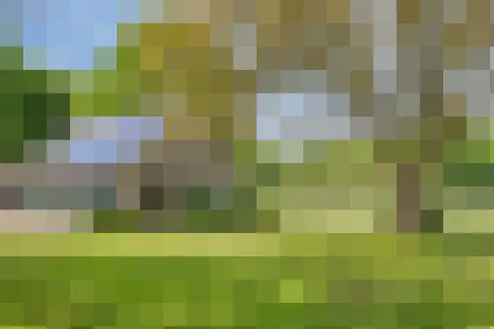 Oude Zutphenseweg 11 Hoog-Keppel thumbnail 118