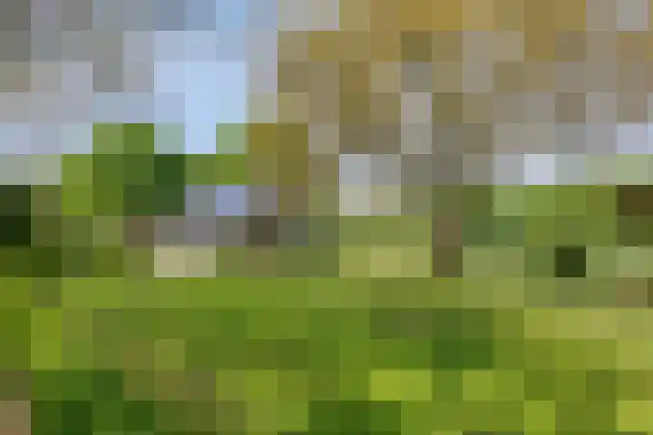 Oude Zutphenseweg 11 Hoog-Keppel thumbnail 119