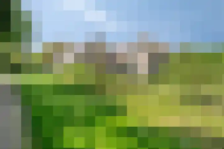 Oude Zutphenseweg 11 Hoog-Keppel thumbnail 120