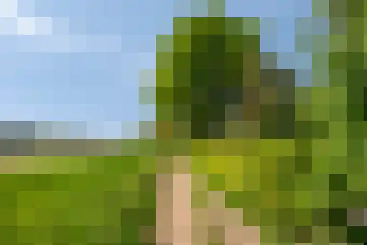 Oude Zutphenseweg 11 Hoog-Keppel thumbnail 124