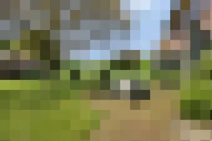 Oude Zutphenseweg 11 Hoog-Keppel thumbnail 125
