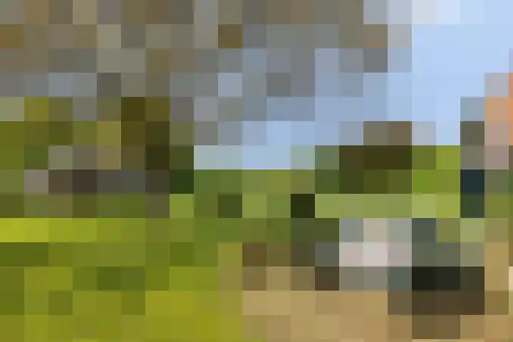 Oude Zutphenseweg 11 Hoog-Keppel thumbnail 126