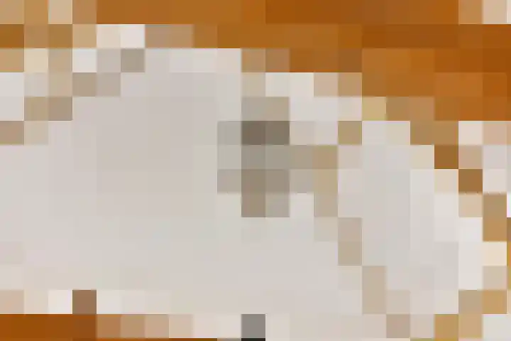 Oude Zutphenseweg 11 Hoog-Keppel thumbnail 43