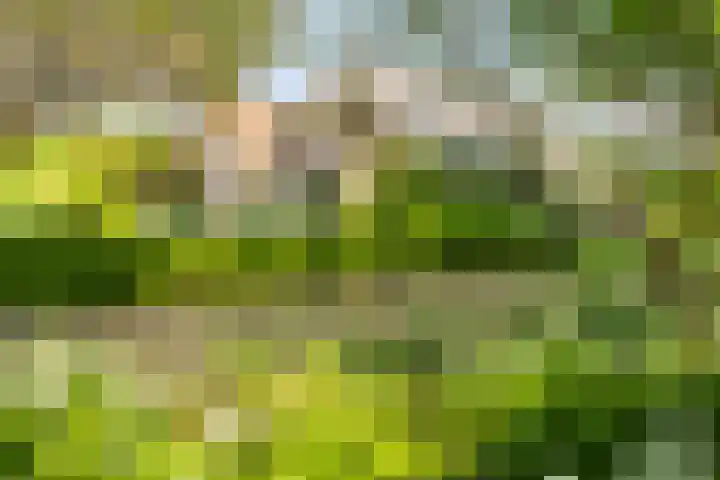 Oude Zutphenseweg 11 Hoog-Keppel thumbnail 5
