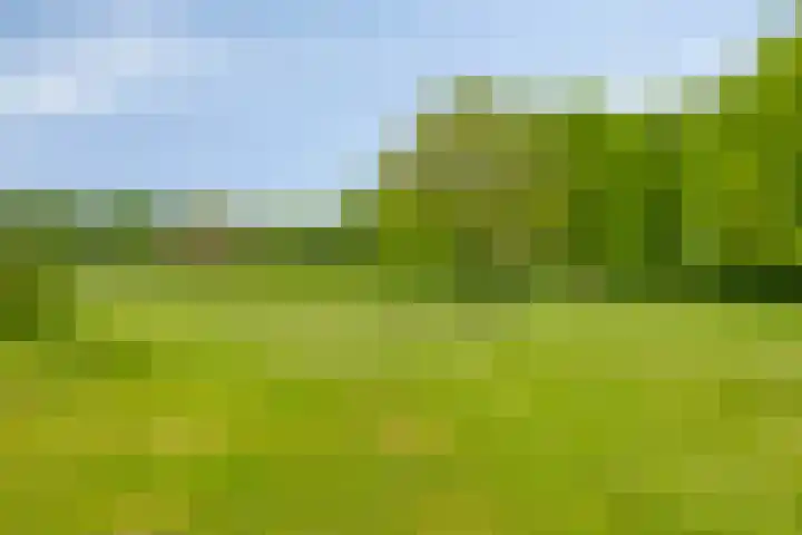 Oude Zutphenseweg 11 Hoog-Keppel thumbnail 65