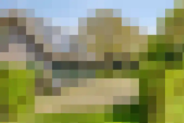 Oude Zutphenseweg 11 Hoog-Keppel thumbnail 67