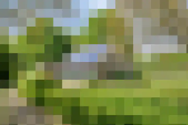 Oude Zutphenseweg 11 Hoog-Keppel thumbnail 68