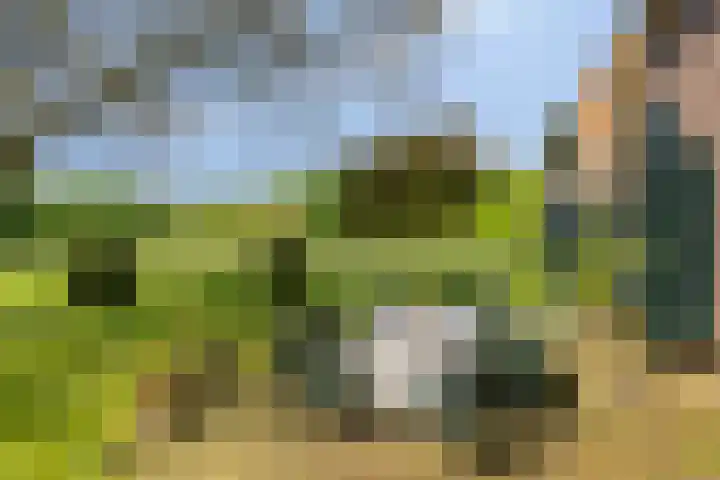 Oude Zutphenseweg 11 Hoog-Keppel thumbnail 7
