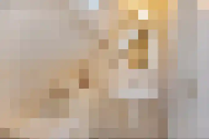 Oude Zutphenseweg 11 Hoog-Keppel thumbnail 72