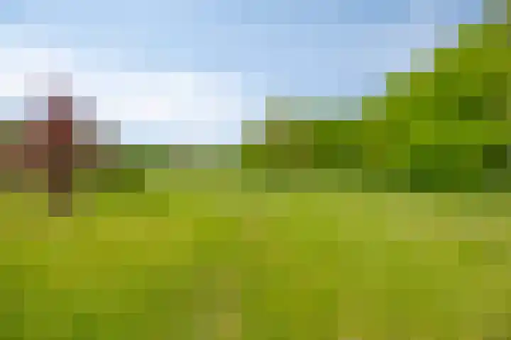 Oude Zutphenseweg 11 Hoog-Keppel thumbnail 77