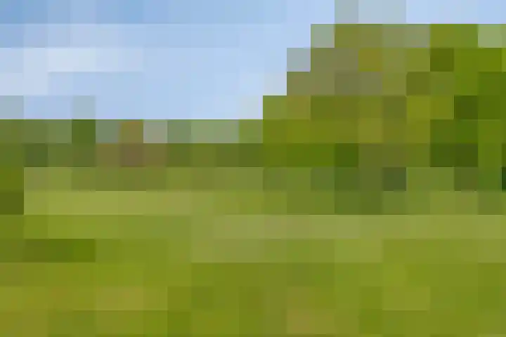 Oude Zutphenseweg 11 Hoog-Keppel thumbnail 78