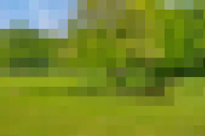 Oude Zutphenseweg 11 Hoog-Keppel thumbnail 79