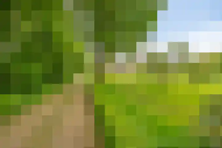Oude Zutphenseweg 11 Hoog-Keppel thumbnail 8