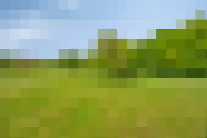 Oude Zutphenseweg 11 Hoog-Keppel thumbnail 80