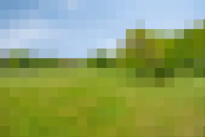 Oude Zutphenseweg 11 Hoog-Keppel thumbnail 81