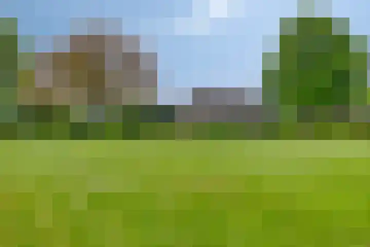Oude Zutphenseweg 11 Hoog-Keppel thumbnail 83