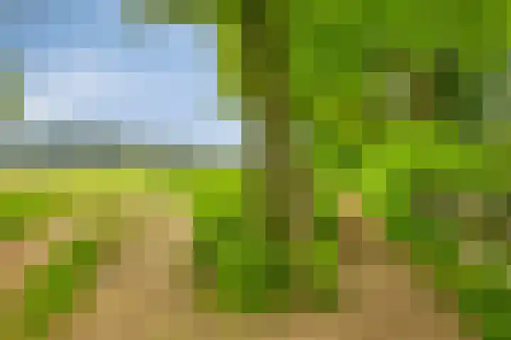 Oude Zutphenseweg 11 Hoog-Keppel thumbnail 9
