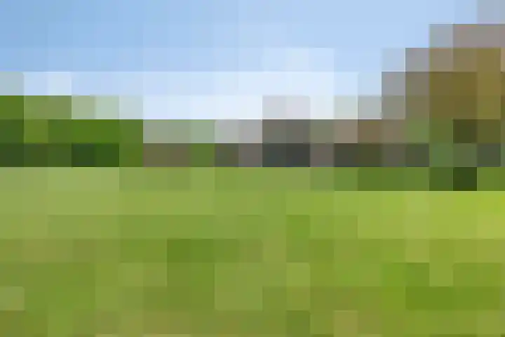 Oude Zutphenseweg 11 Hoog-Keppel thumbnail 92