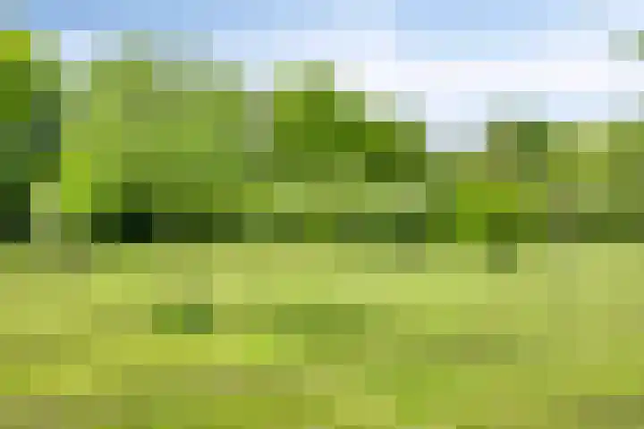 Oude Zutphenseweg 11 Hoog-Keppel thumbnail 94
