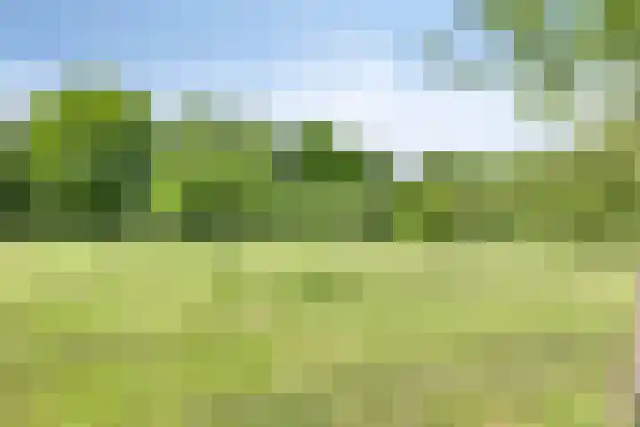 Oude Zutphenseweg 11 Hoog-Keppel thumbnail 95