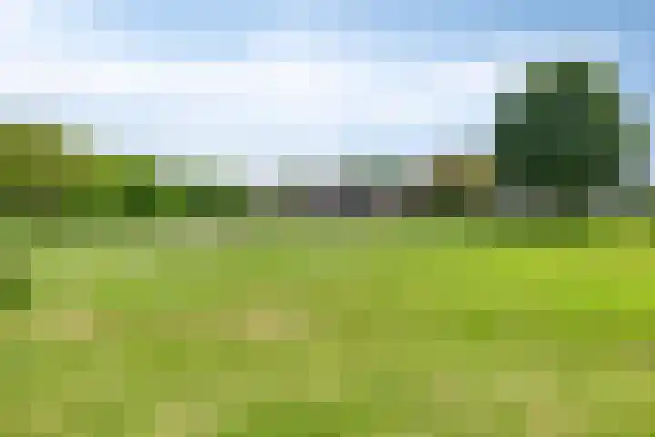 Oude Zutphenseweg 11 Hoog-Keppel thumbnail 96