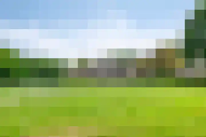 Oude Zutphenseweg 11 Hoog-Keppel thumbnail 97