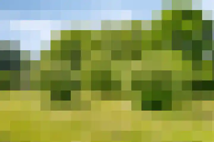 Oude Zutphenseweg 11 Hoog-Keppel thumbnail 98