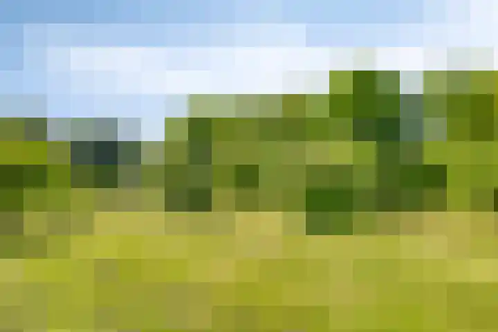 Oude Zutphenseweg 11 Hoog-Keppel thumbnail 99