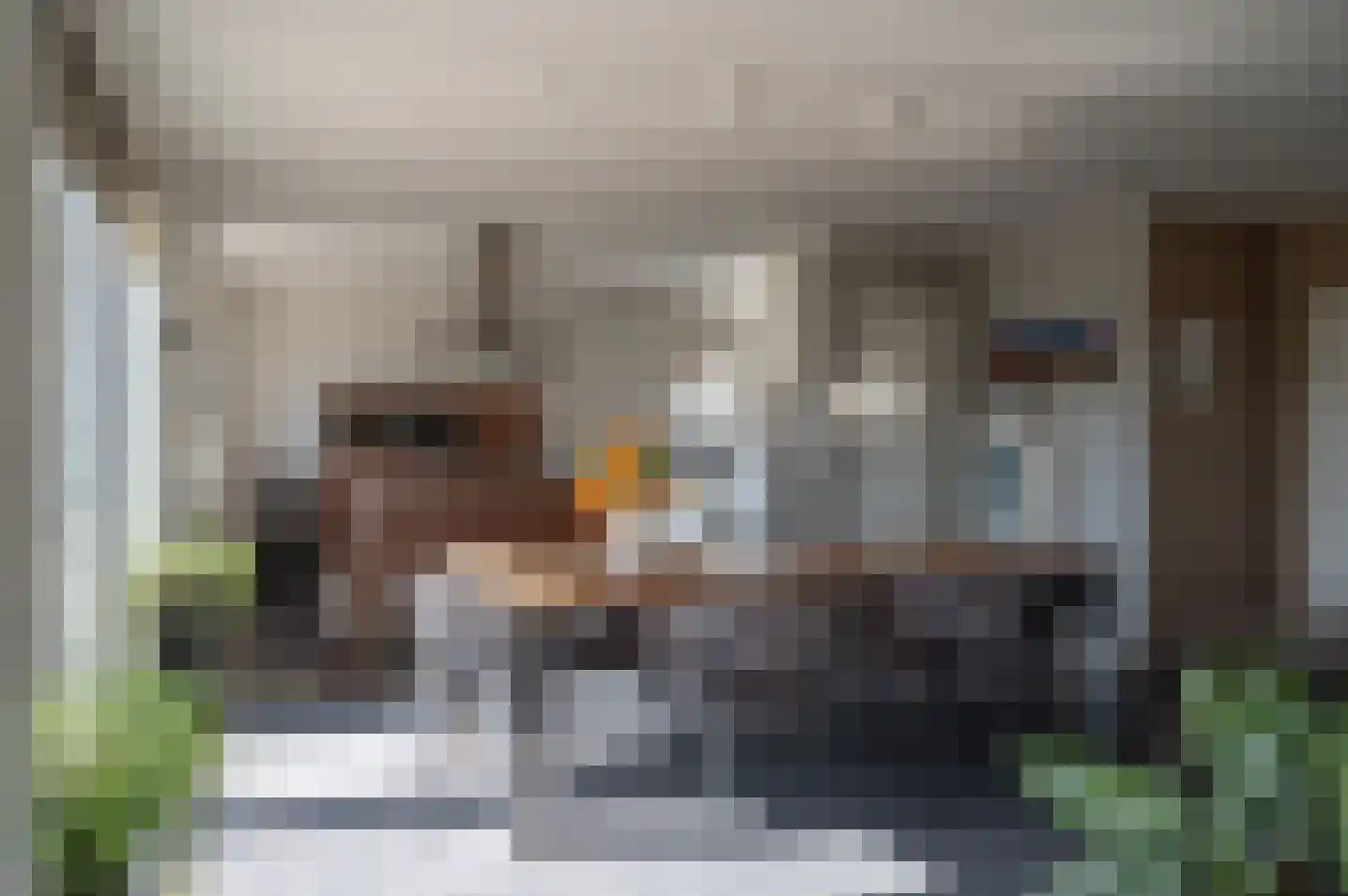 Oude Zutphenseweg 2 B Vorden thumbnail 14