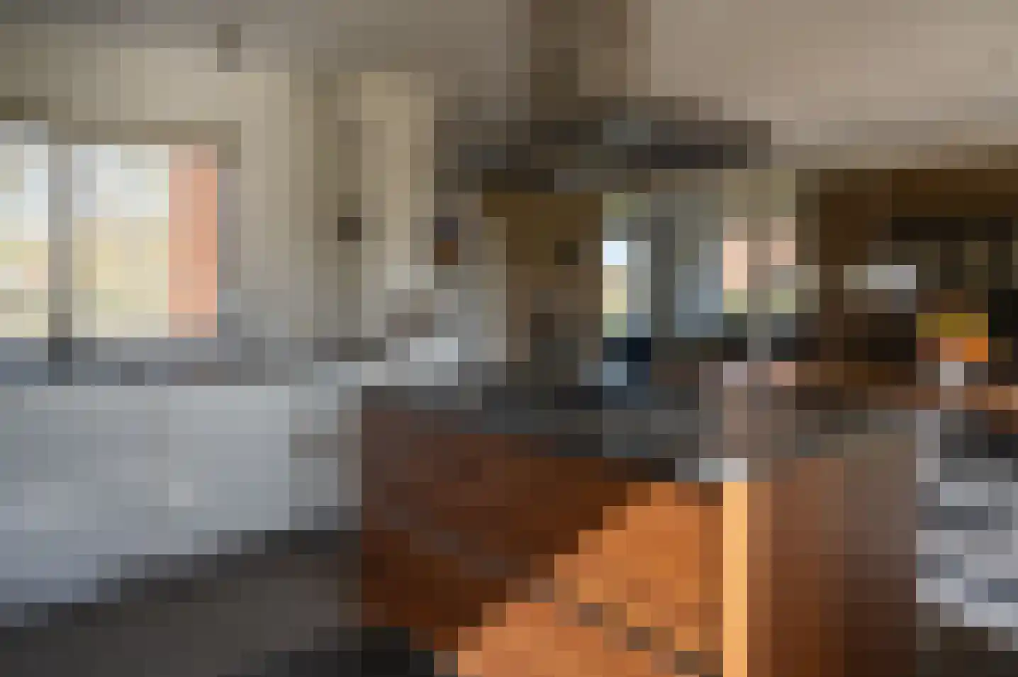 Oude Zutphenseweg 2 B Vorden thumbnail 16
