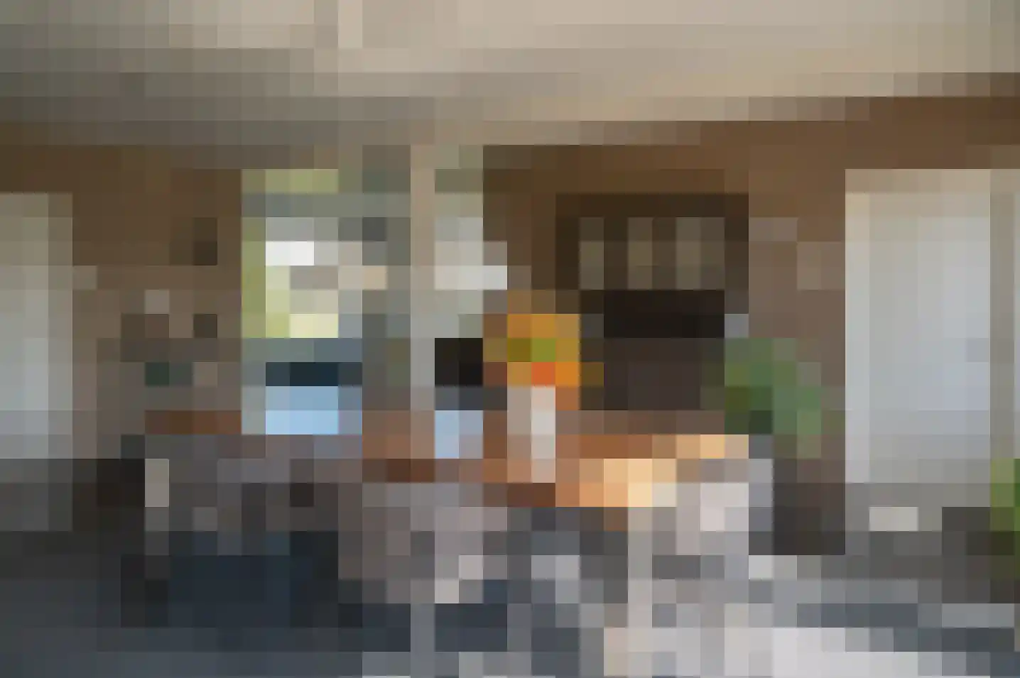 Oude Zutphenseweg 2 B Vorden thumbnail 19