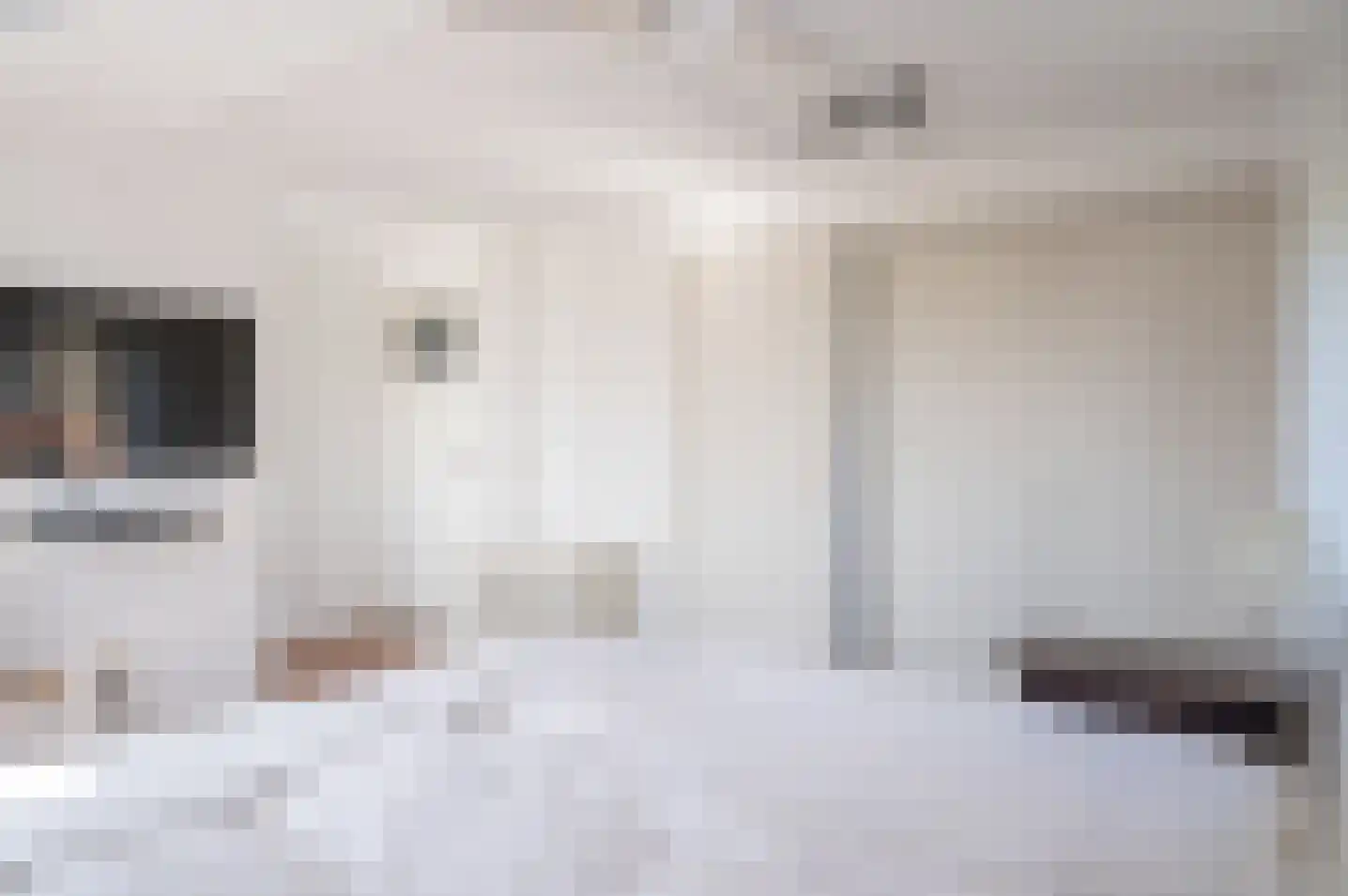 Oude Zutphenseweg 2 B Vorden thumbnail 38