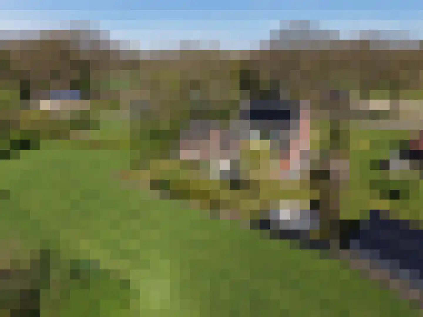 Oude Zutphenseweg 2 B Vorden thumbnail 55