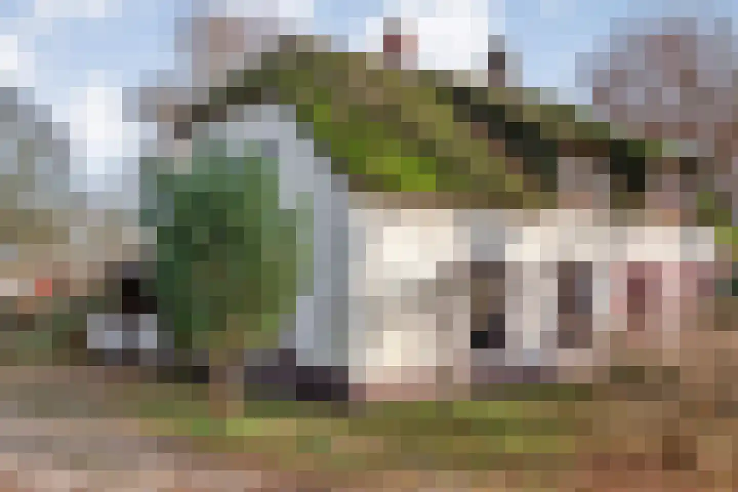 Oude Zwolsestraat 16 Raalte thumbnail 10