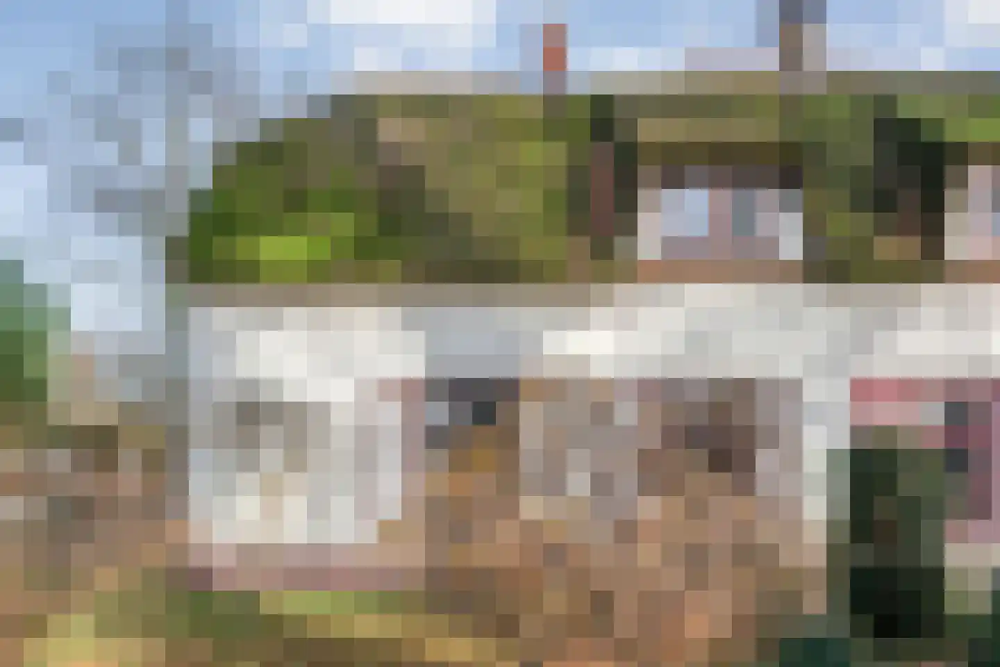 Oude Zwolsestraat 16 Raalte thumbnail 11