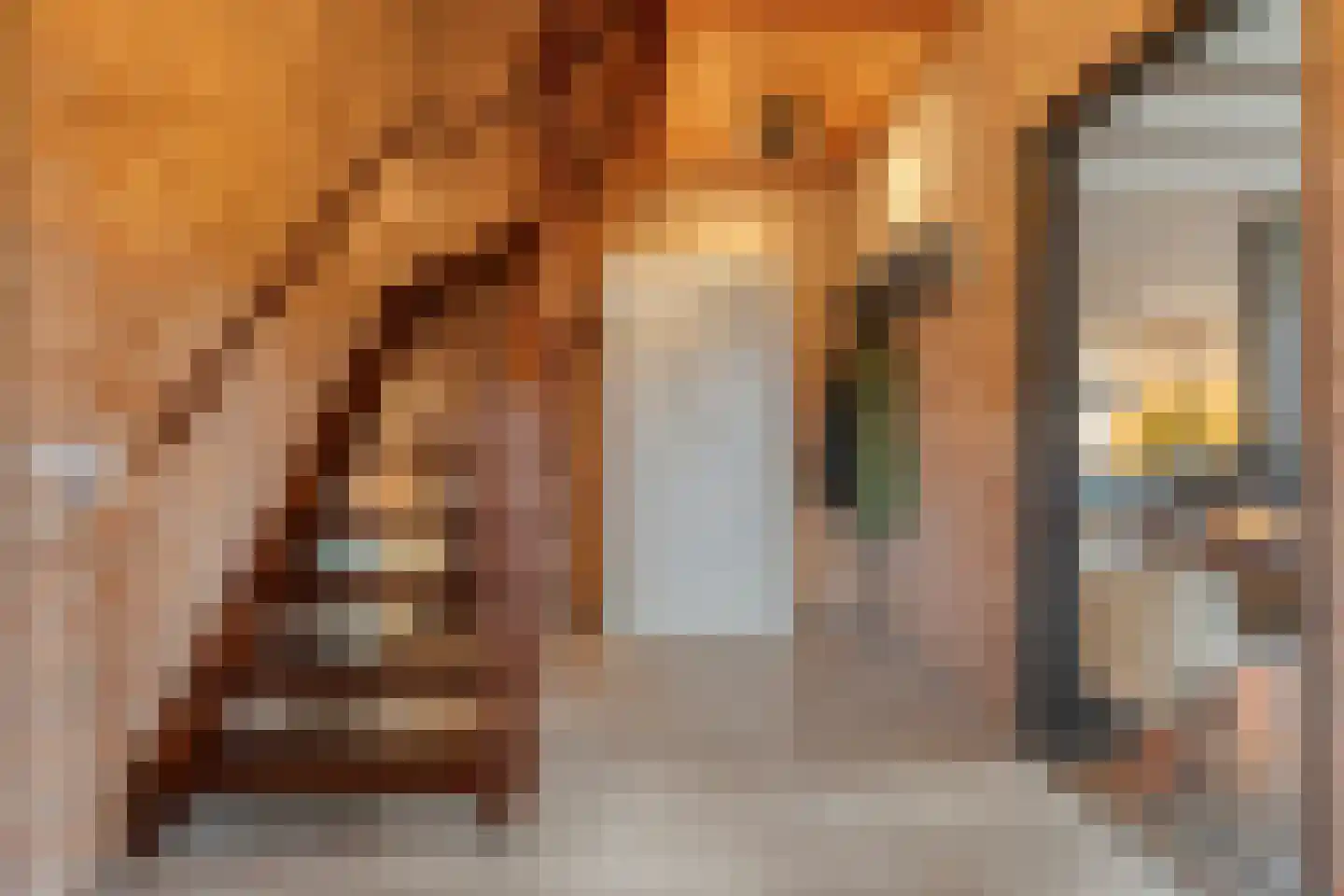 Oude Zwolsestraat 16 Raalte thumbnail 16