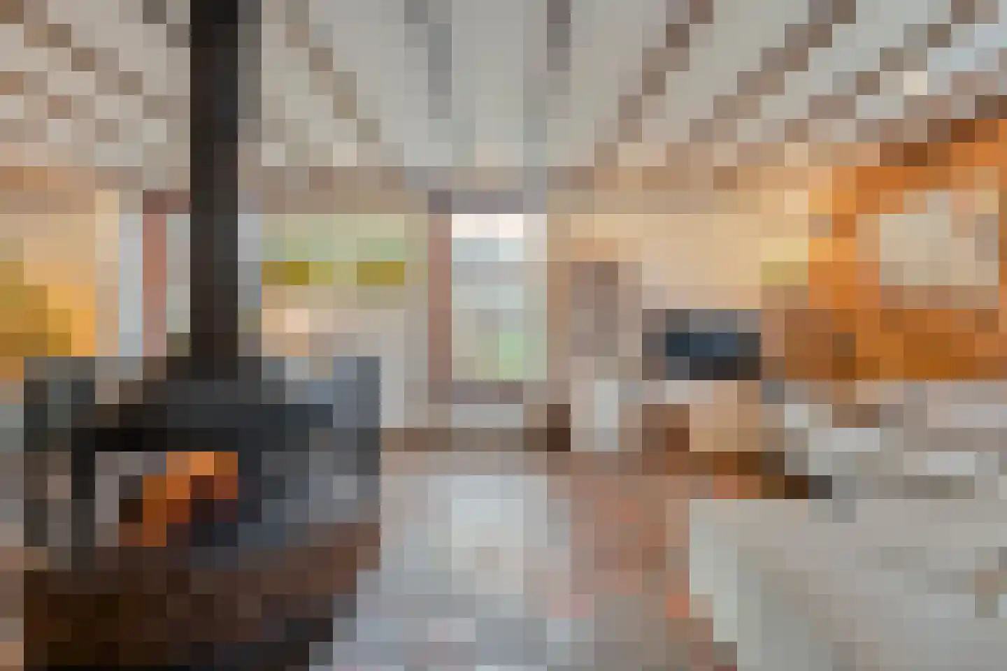 Oude Zwolsestraat 16 Raalte thumbnail 18