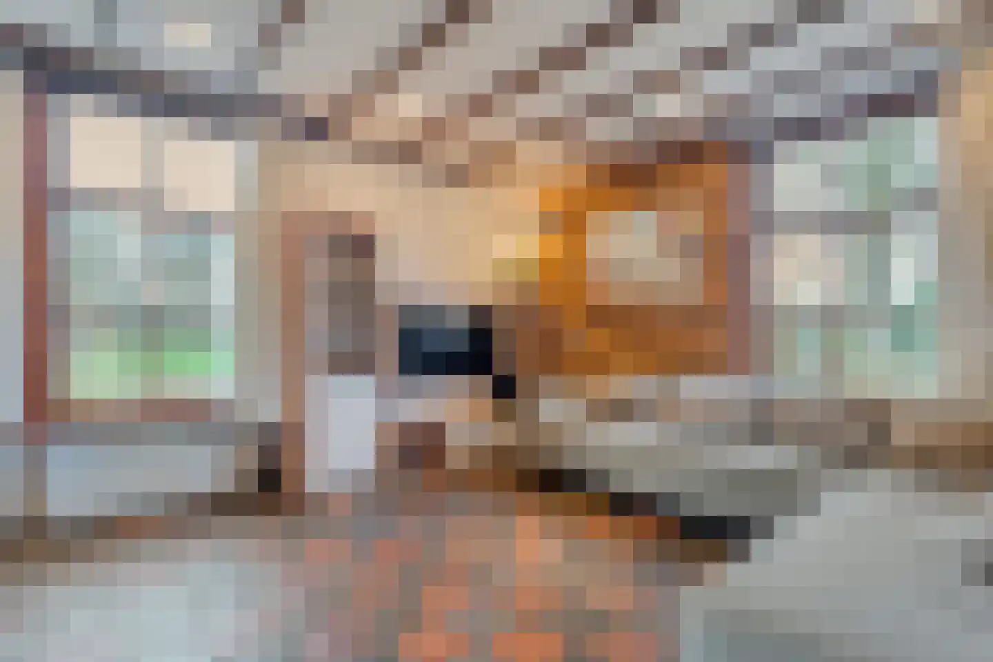 Oude Zwolsestraat 16 Raalte thumbnail 19