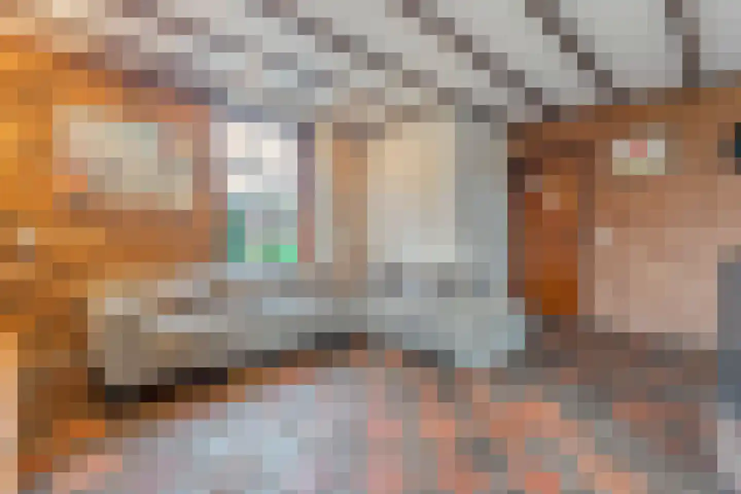 Oude Zwolsestraat 16 Raalte thumbnail 20
