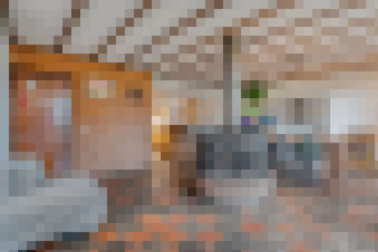 Oude Zwolsestraat 16 Raalte thumbnail 21