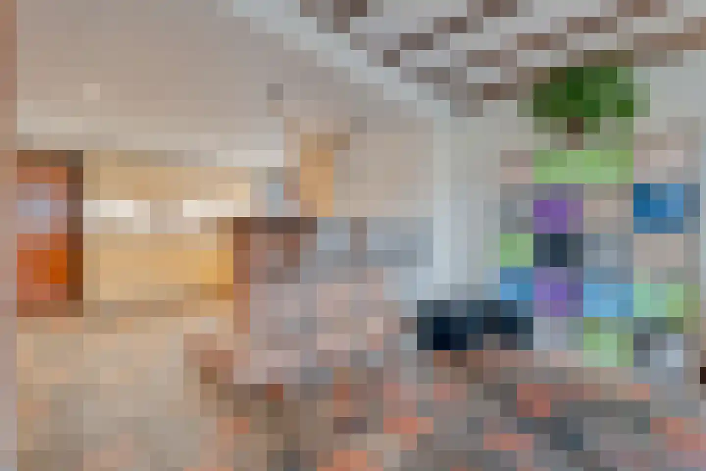 Oude Zwolsestraat 16 Raalte thumbnail 25
