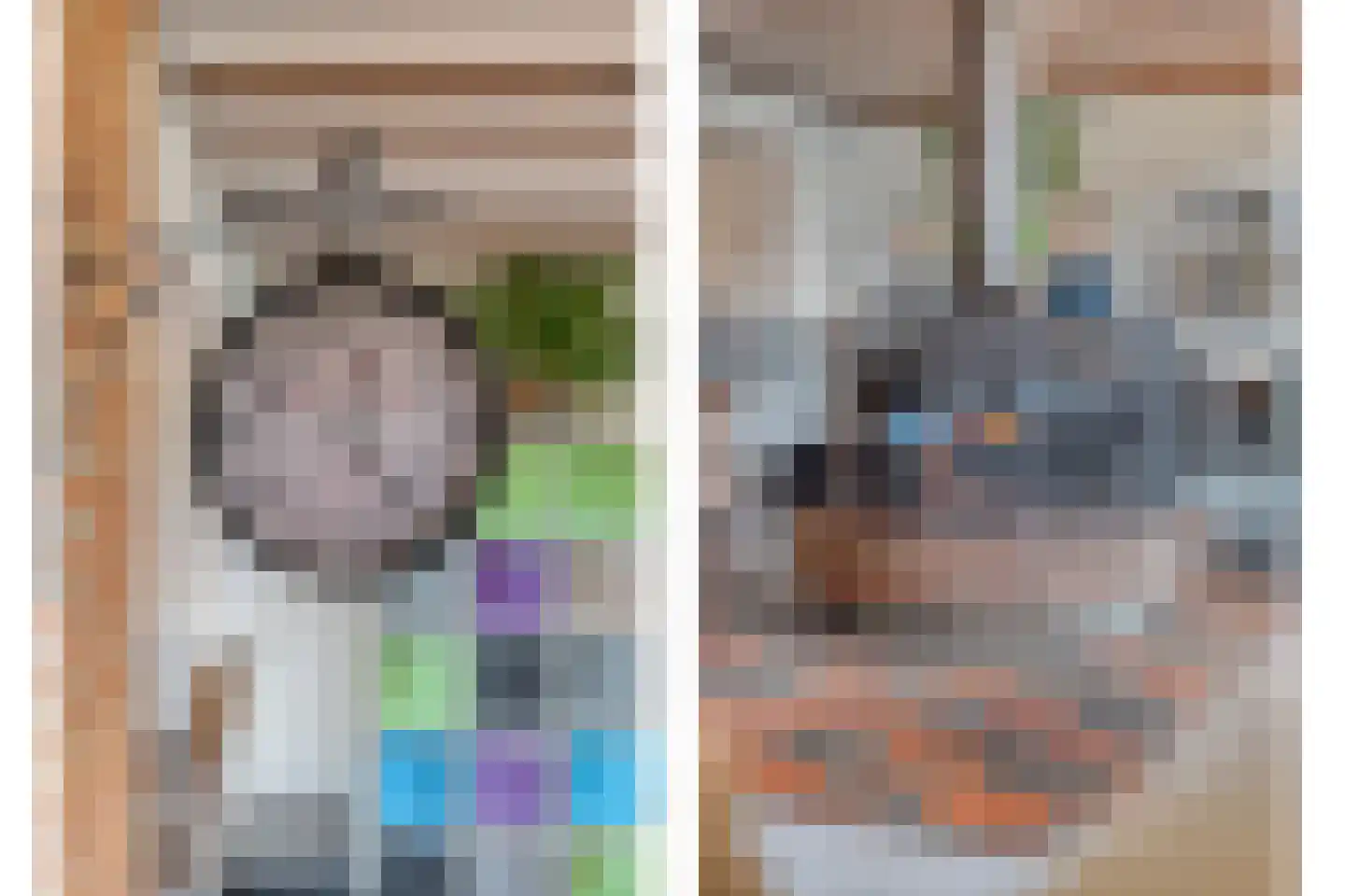 Oude Zwolsestraat 16 Raalte thumbnail 26