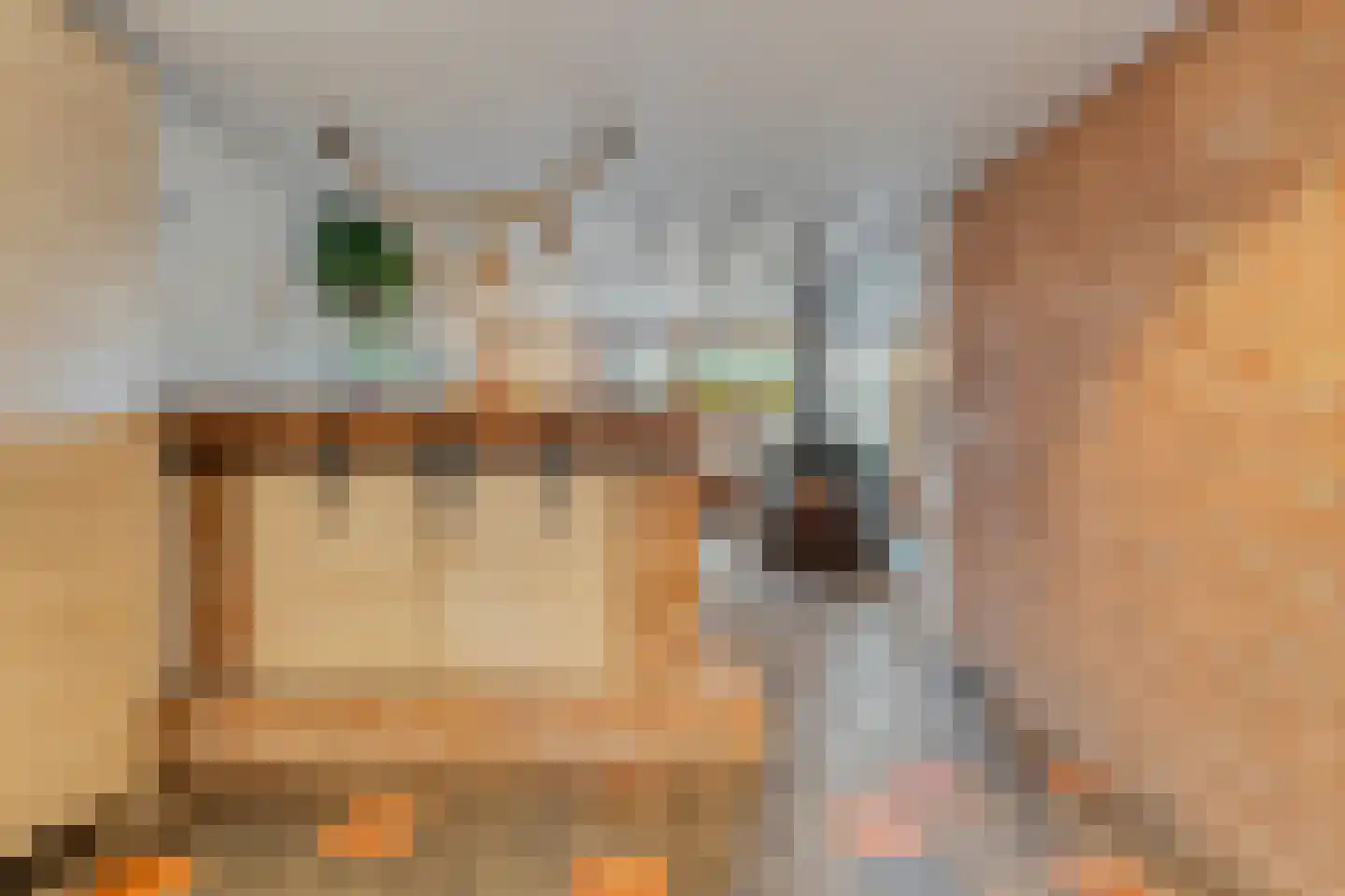 Oude Zwolsestraat 16 Raalte thumbnail 32