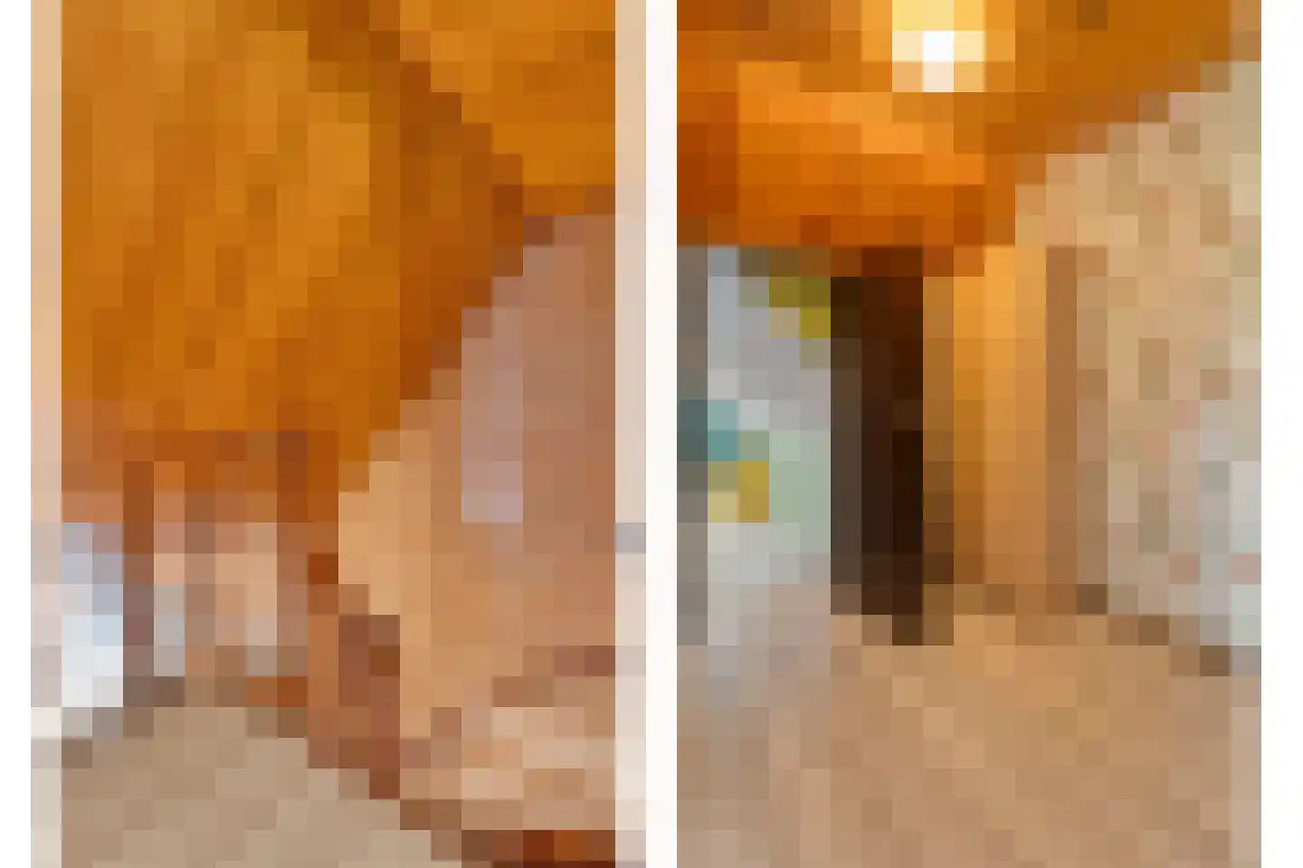 Oude Zwolsestraat 16 Raalte thumbnail 35