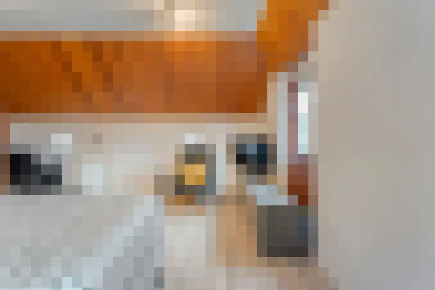 Oude Zwolsestraat 16 Raalte thumbnail 38