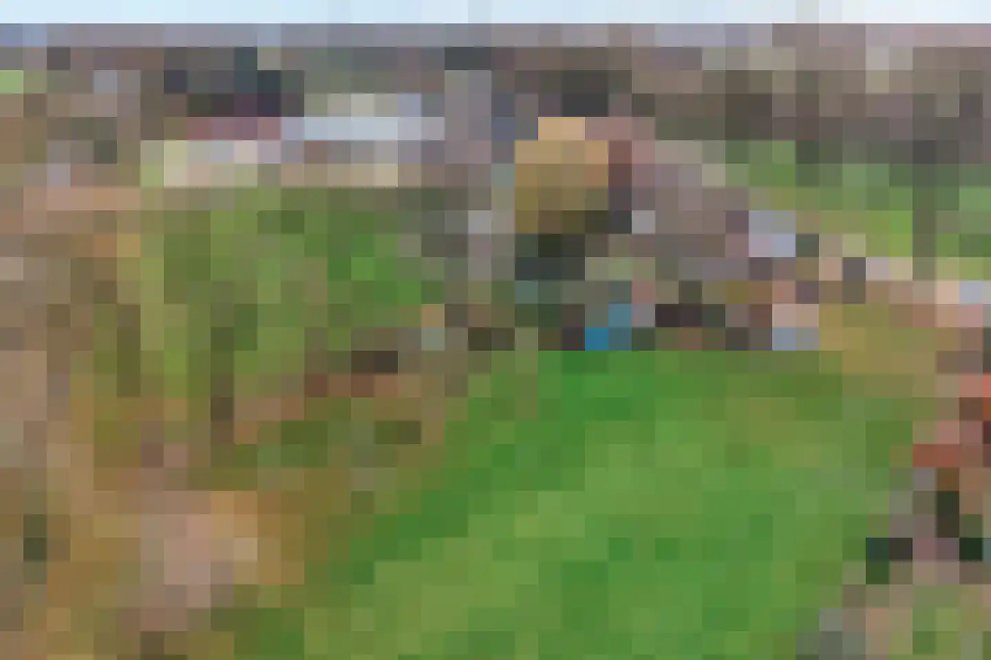 Oude Zwolsestraat 16 Raalte thumbnail 4