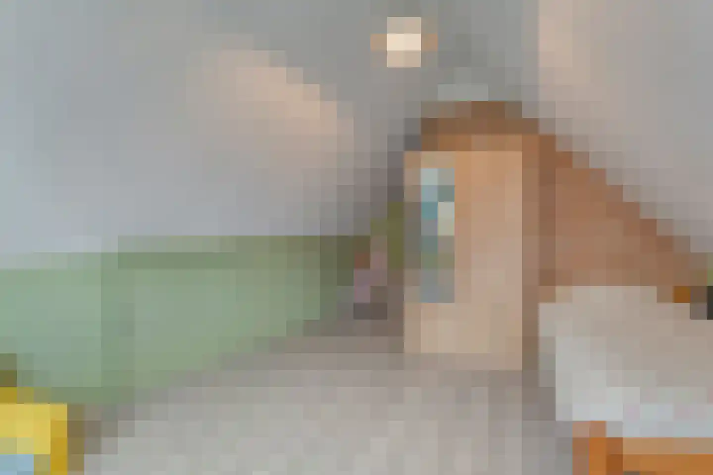 Oude Zwolsestraat 16 Raalte thumbnail 42